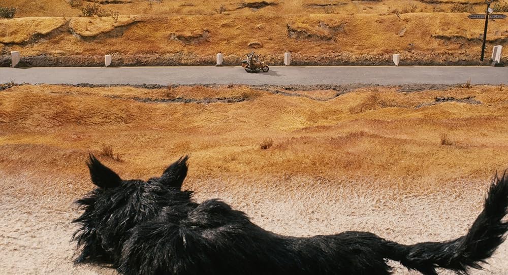 آقای فاکس شگفت انگیز