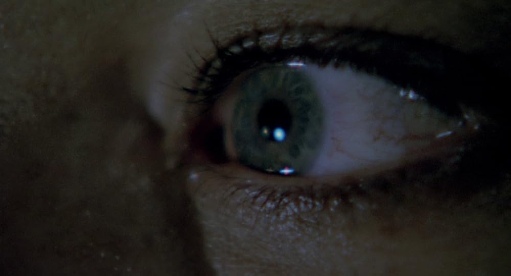 در یک قفسه شیشه ای