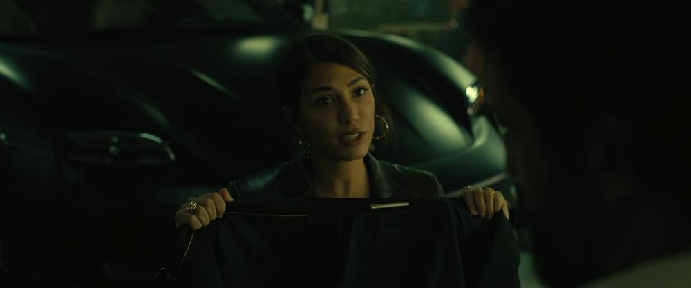 لانه دزدان 2: پانتره