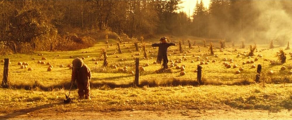 ترفند درمان