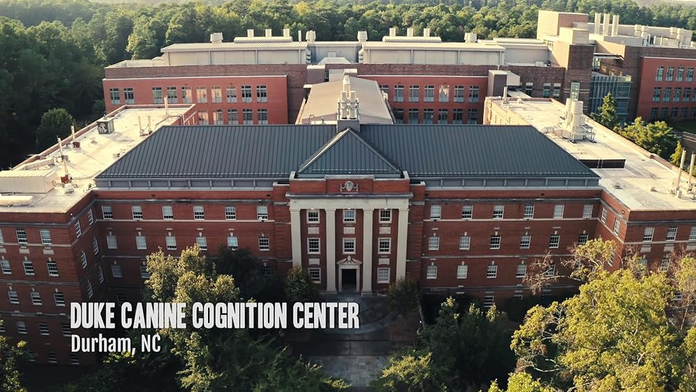 درون ذهن یک سگ