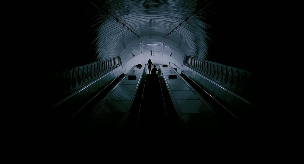 ۲۸ هفته بعد