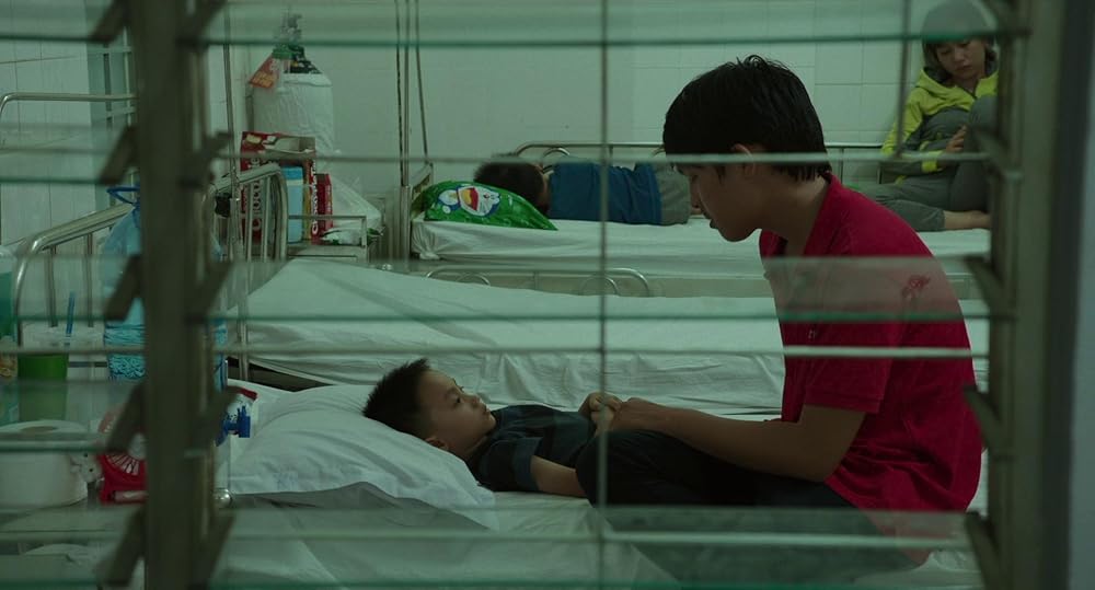 درون پوسته پیله زرد