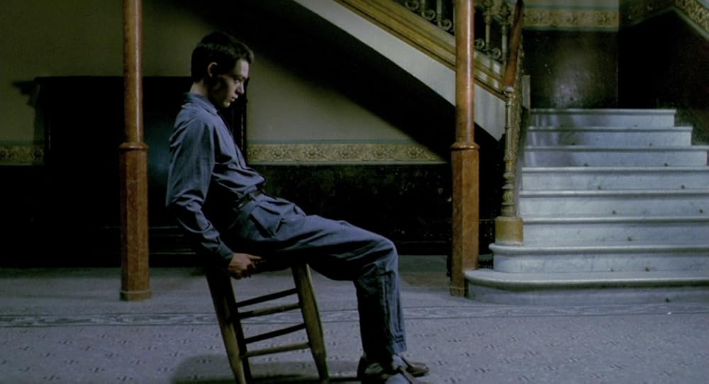 در یک قفسه شیشه ای