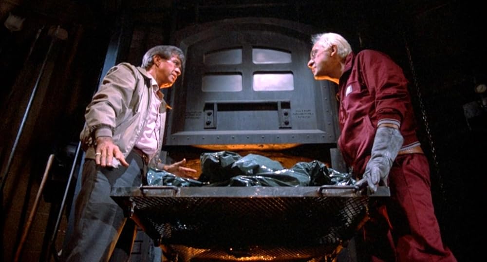 بازگشت مردگان زنده