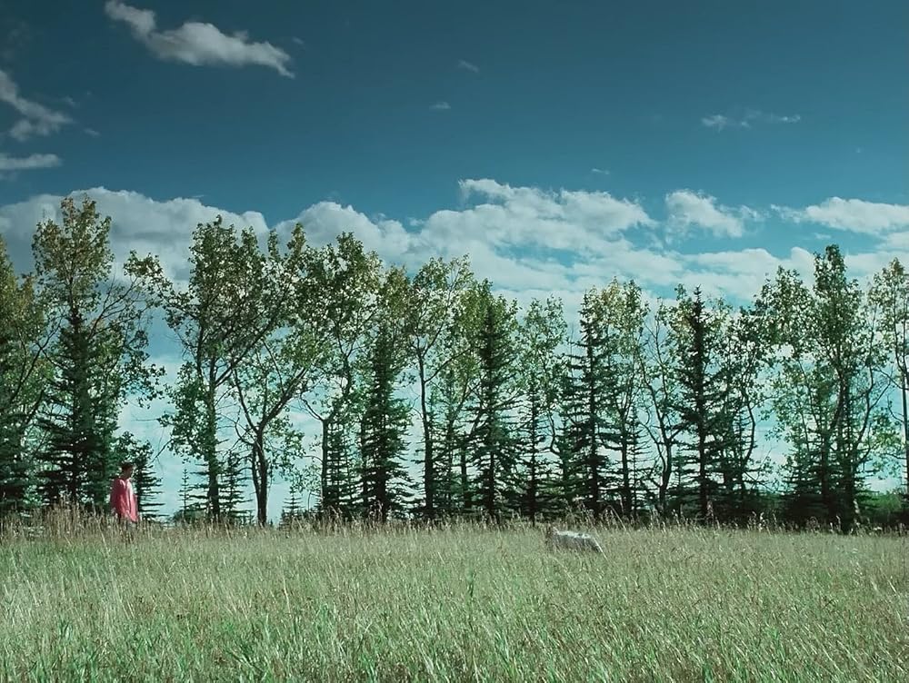 بمیر عشق من