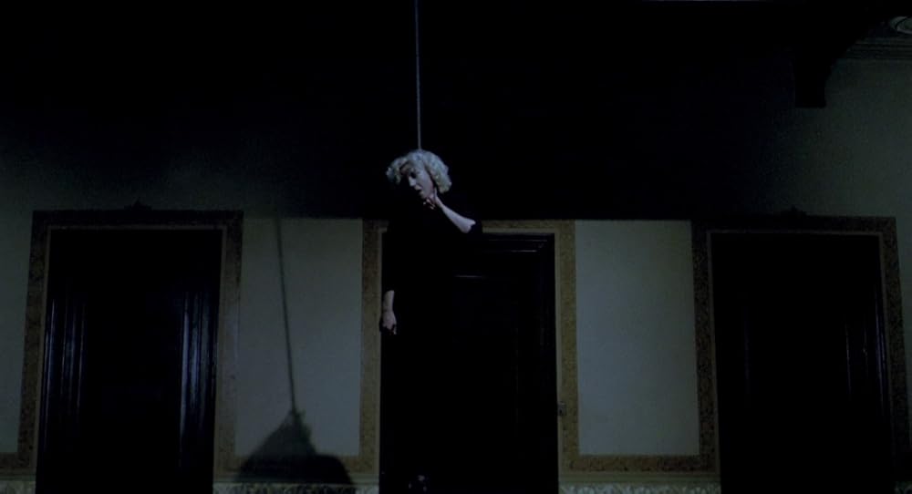 در یک قفسه شیشه ای