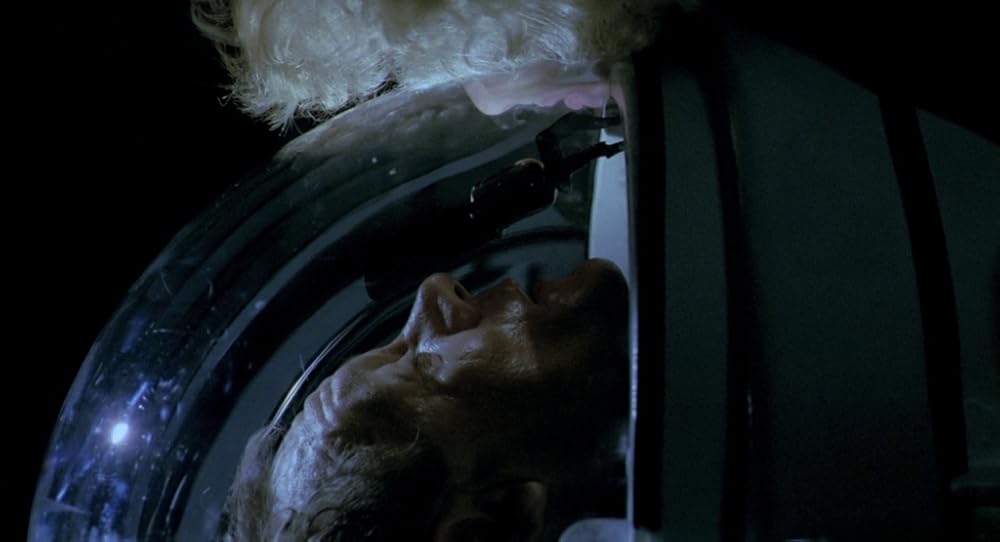 در یک قفسه شیشه ای