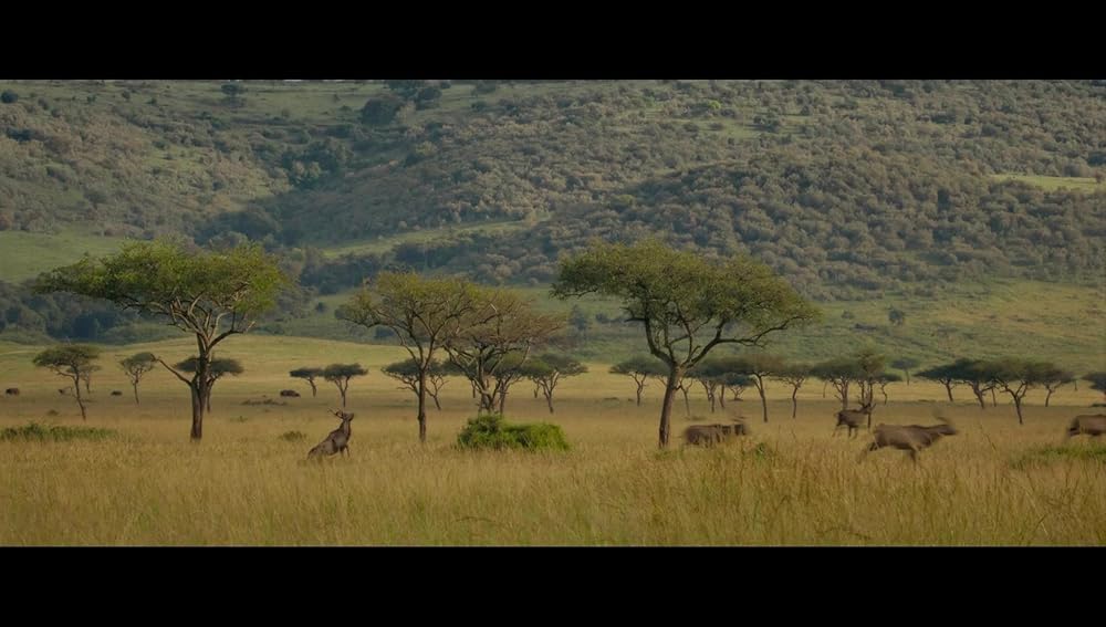 کراون شکارچی