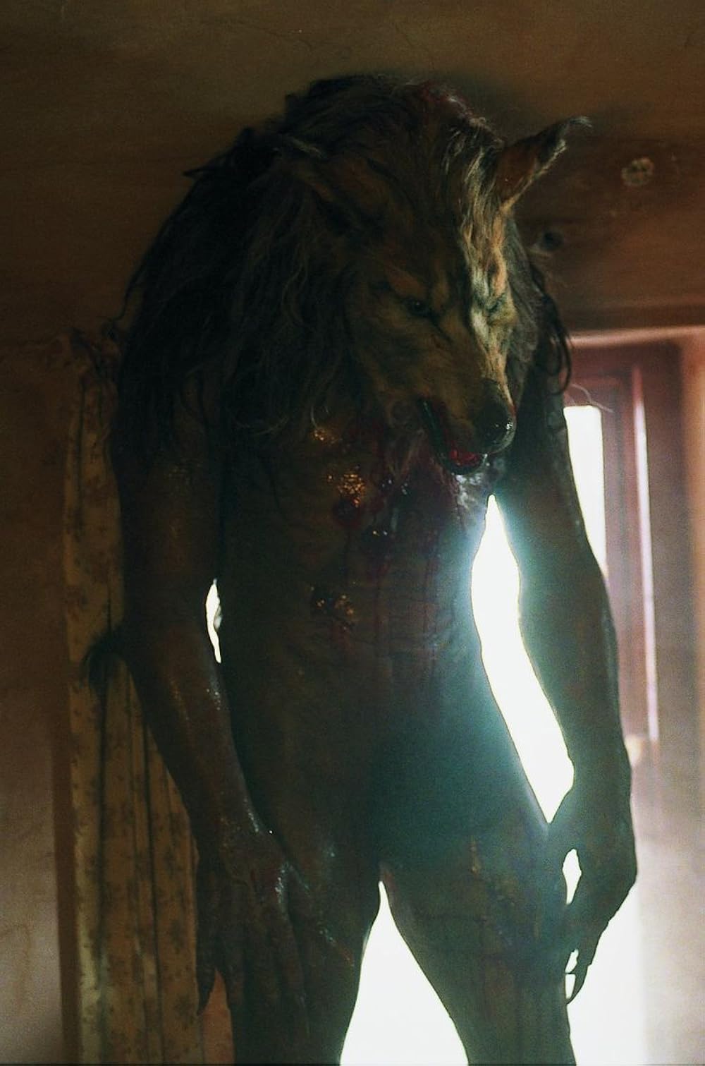 سربازان سگی