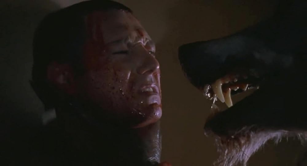 سربازان سگی