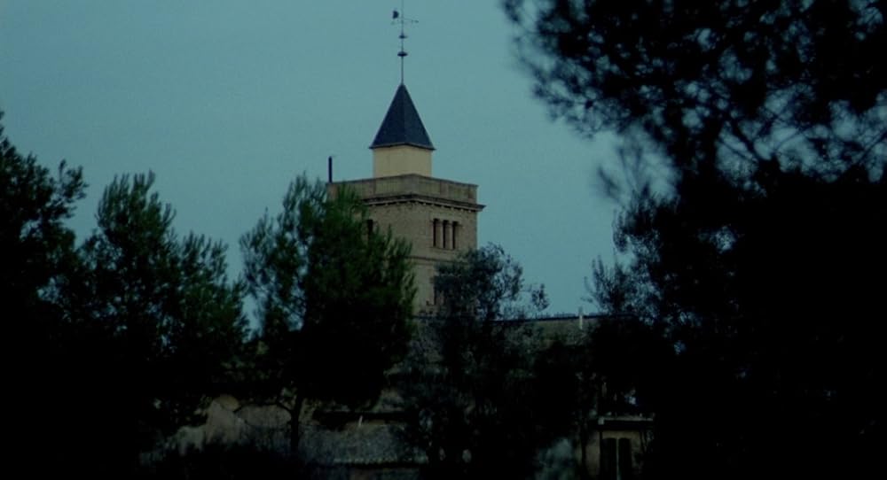 در یک قفسه شیشه ای