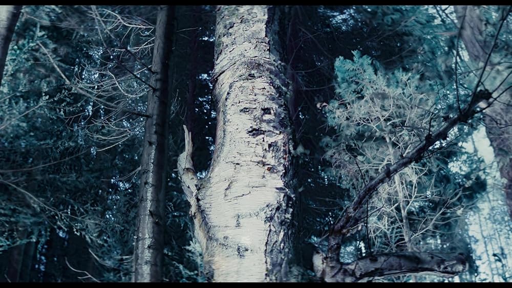 آنچه در وحشی گذشت؛ مروری بر فصل اول