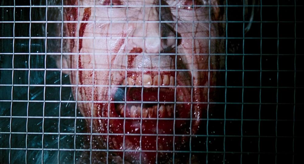 ۲۸ هفته بعد