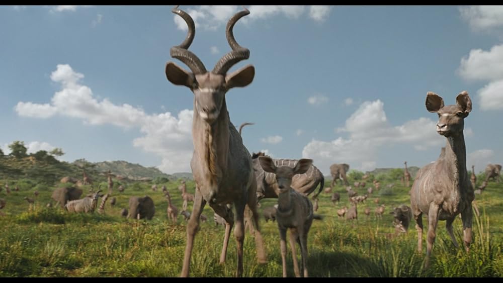 موفاسا: فرمانروای شیرها