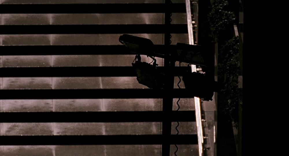 ۲۸ هفته بعد