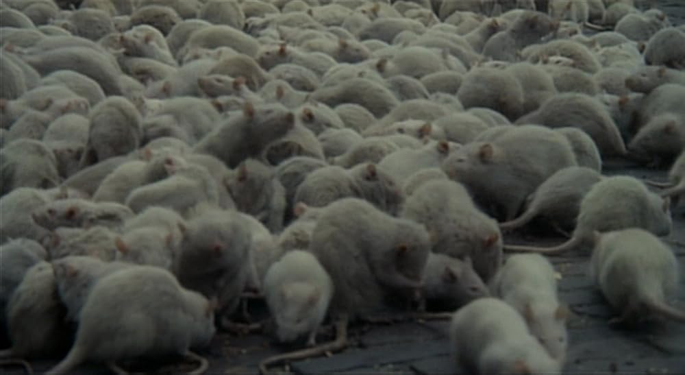 نوسفراتو خون‌آشام