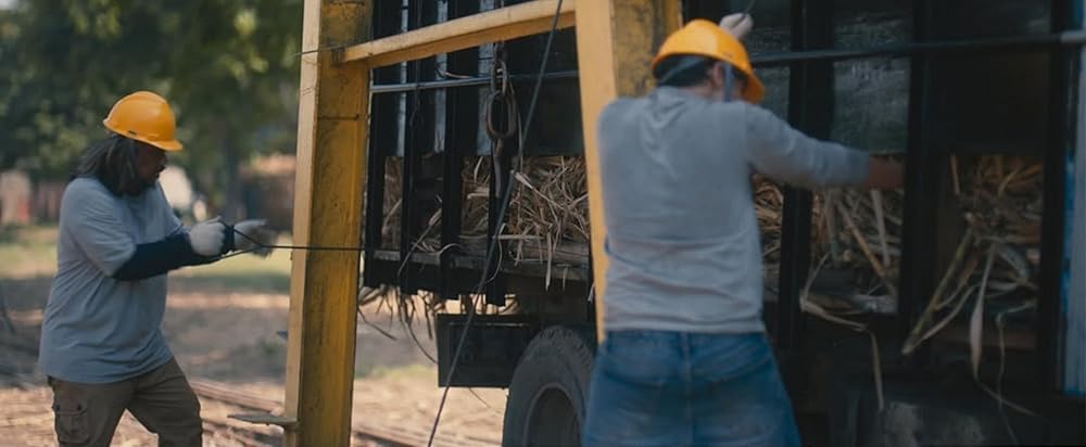 کارخانه شکر