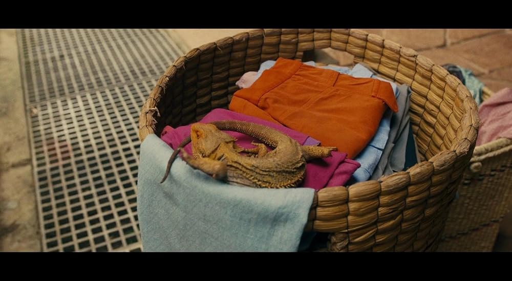 دورا در جستجوی سول دورادو