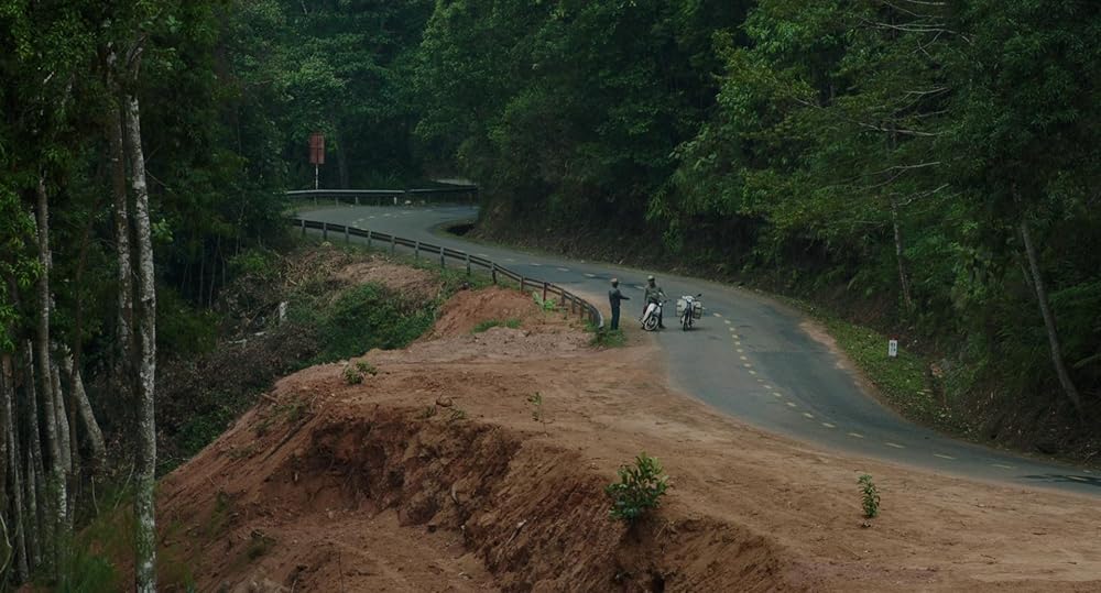 درون پوسته پیله زرد