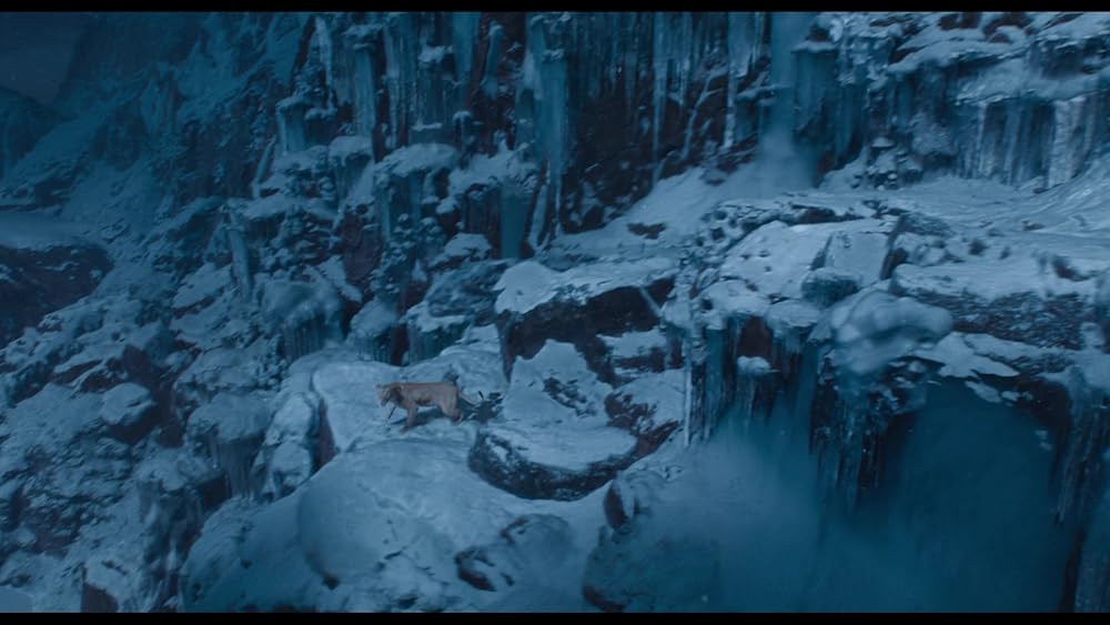 موفاسا: فرمانروای شیرها