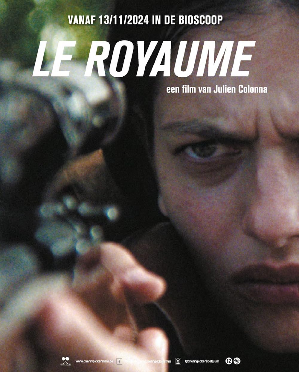 تسخیر ساوانا