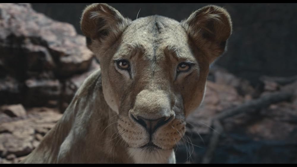 موفاسا: فرمانروای شیرها