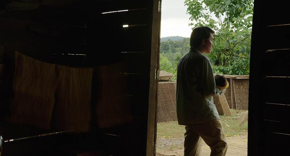 درون پوسته پیله زرد