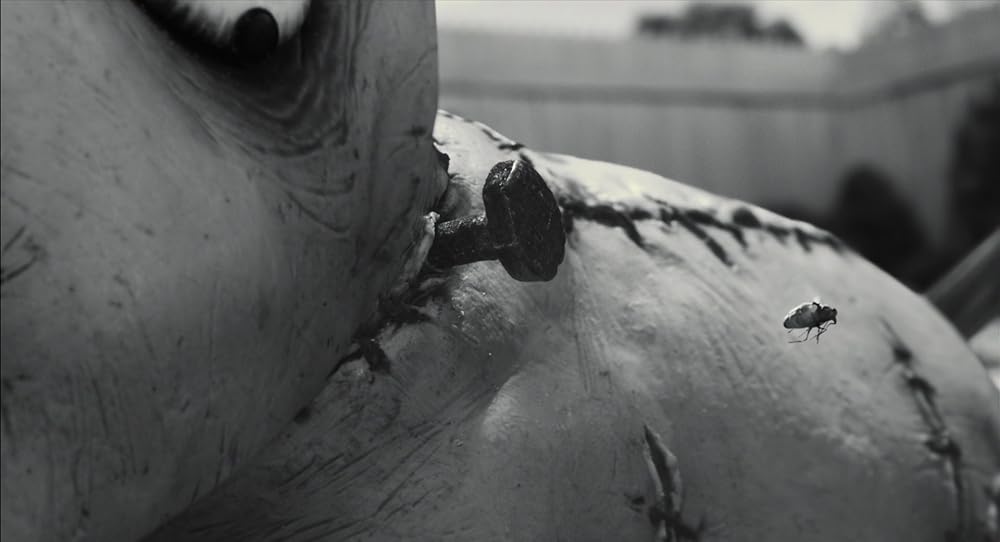 فرنکن‌وینی