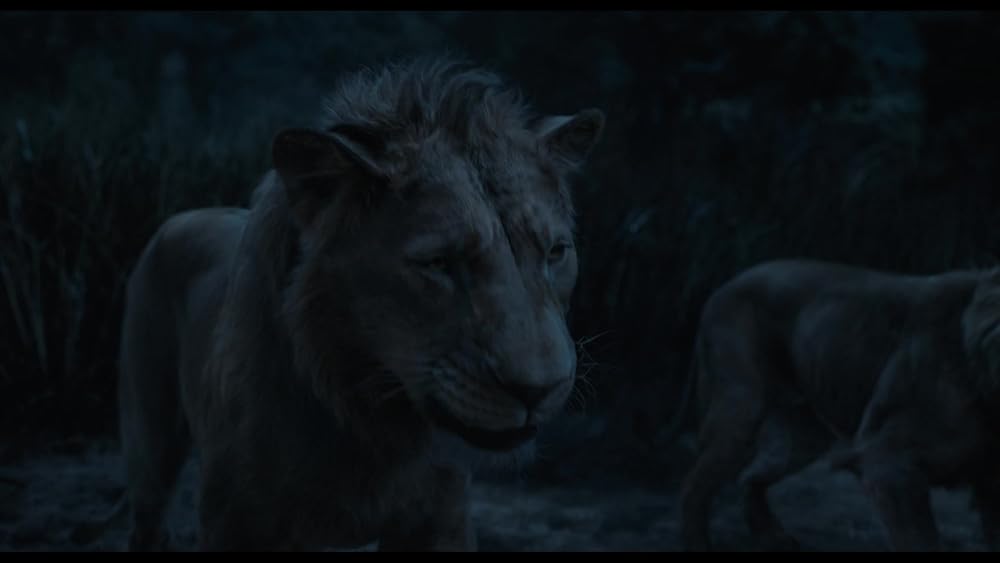 موفاسا: فرمانروای شیرها