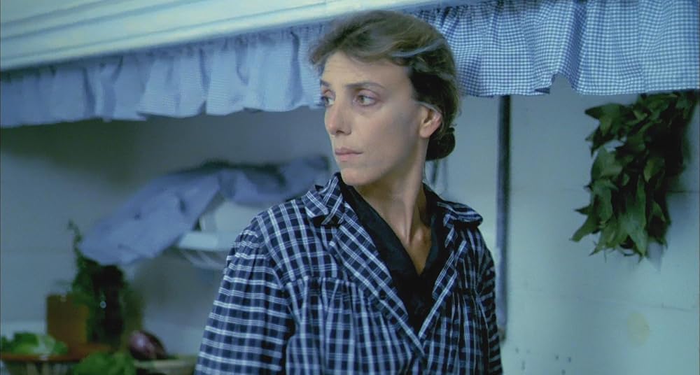 در یک قفسه شیشه ای