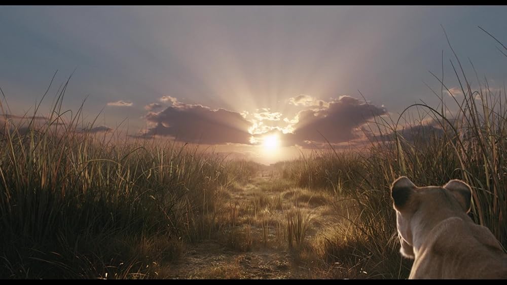 موفاسا: فرمانروای شیرها