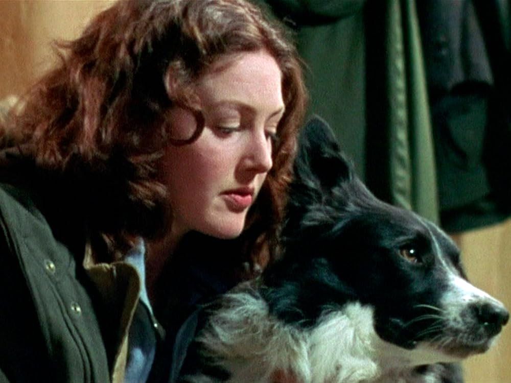 سربازان سگی