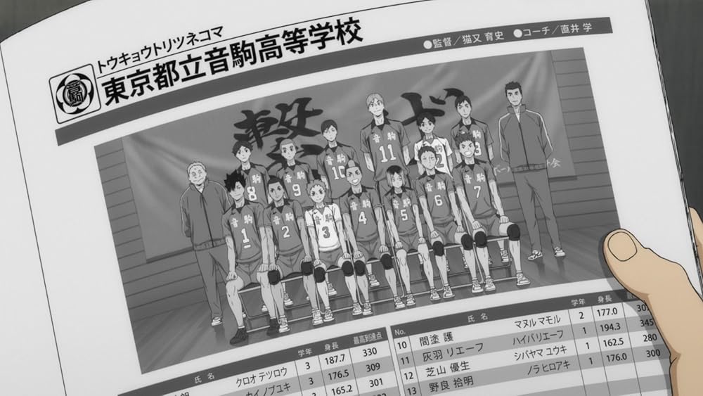 هایکیو!! نبرد دامپستار