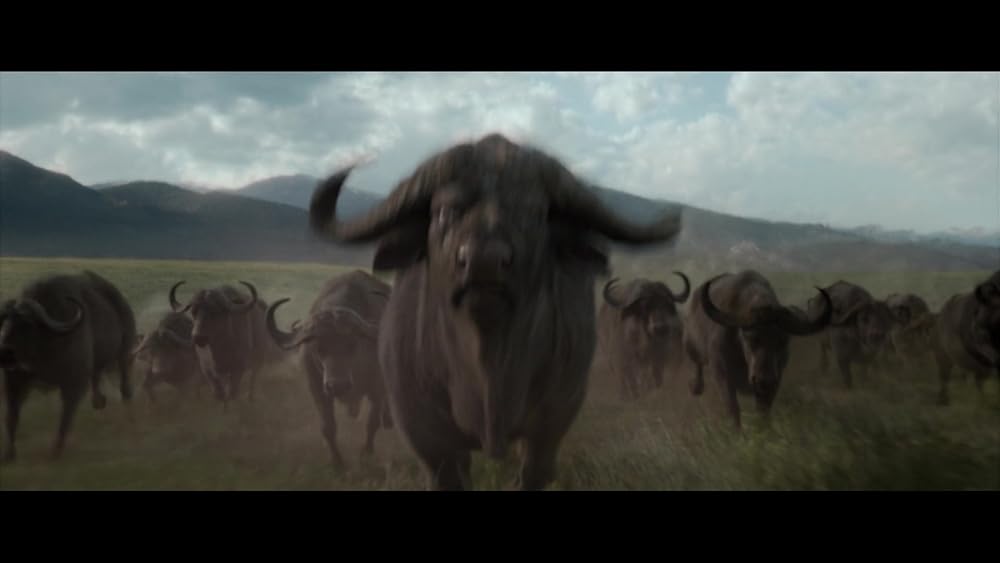 کراون شکارچی