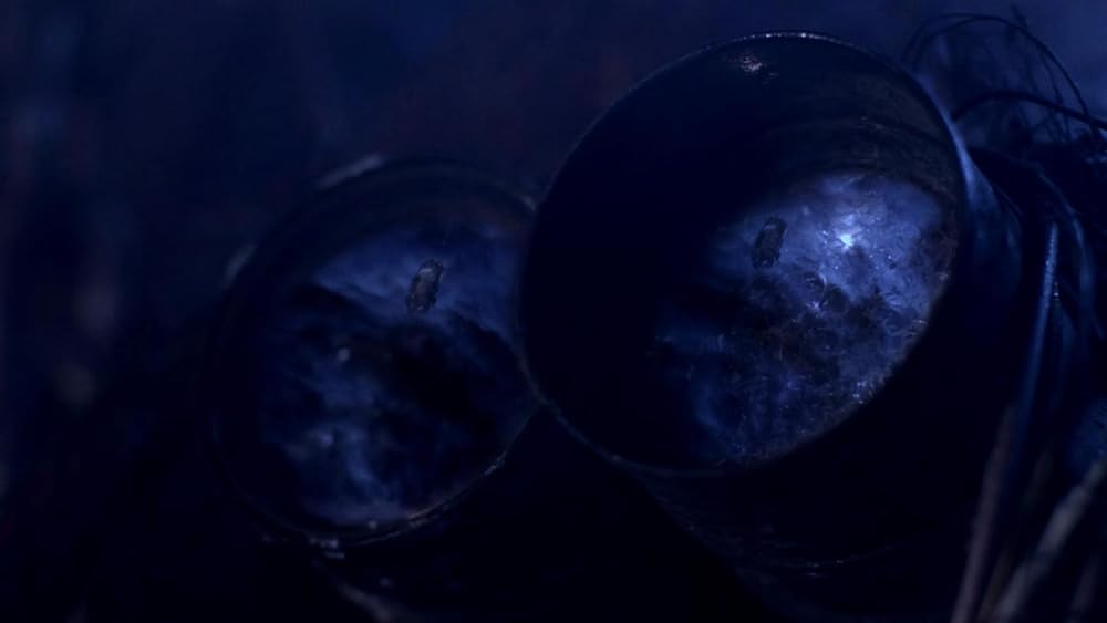 خدای دیوانه