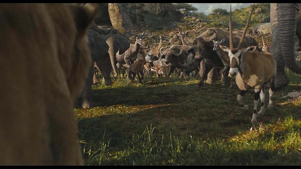 موفاسا: فرمانروای شیرها