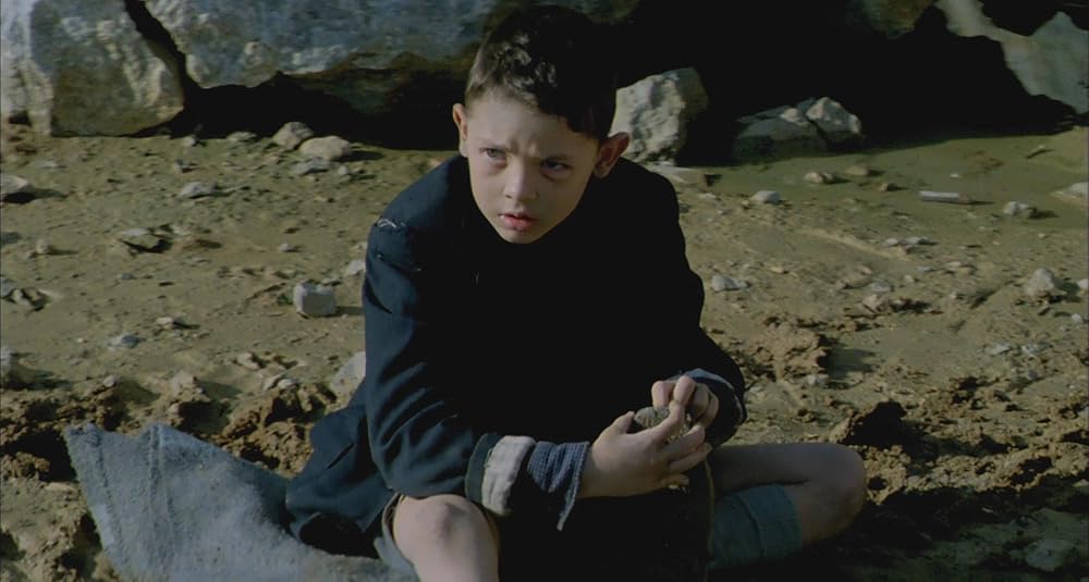 در یک قفسه شیشه ای