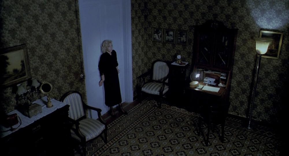 در یک قفسه شیشه ای