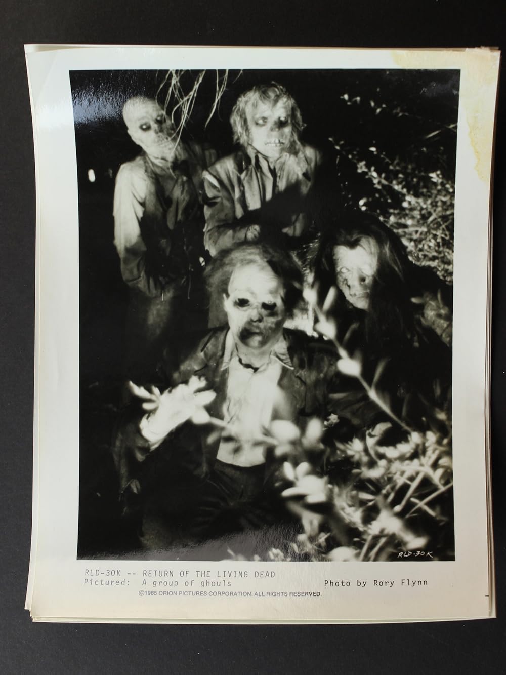 بازگشت مردگان زنده