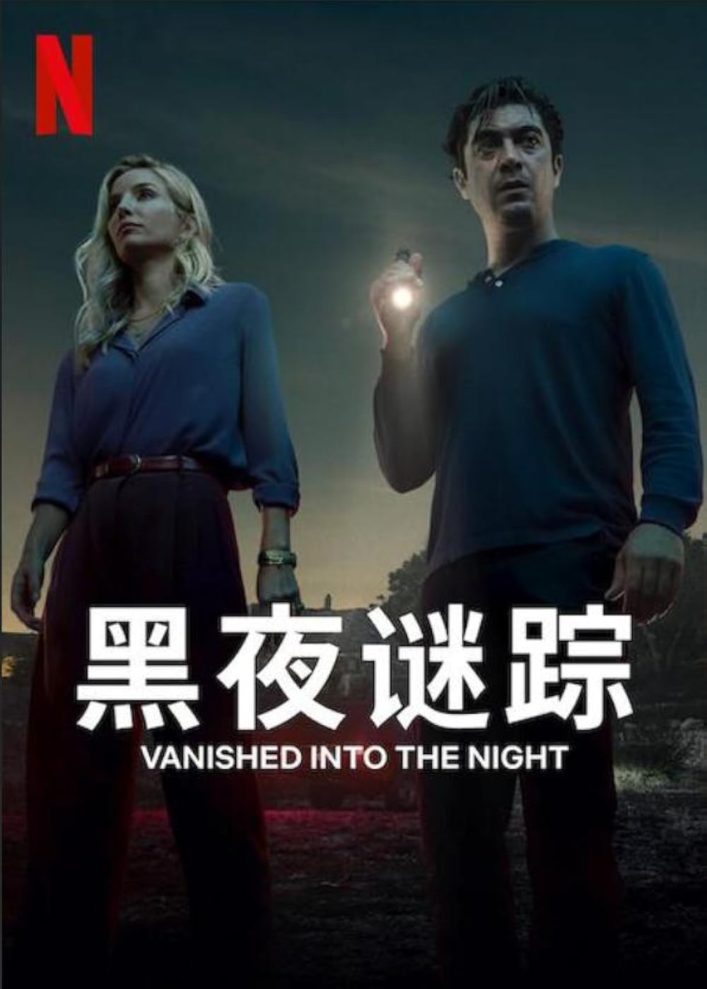 ناپدید شده در شب