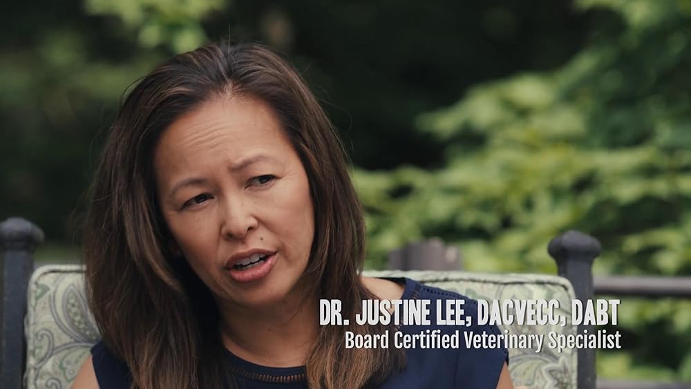 درون ذهن یک سگ