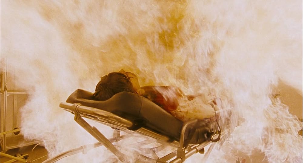 ۲۸ هفته بعد