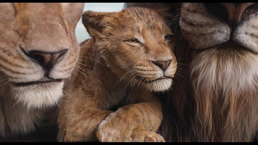 موفاسا: فرمانروای شیرها