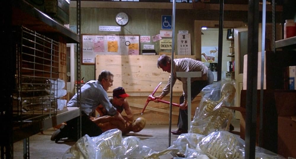 بازگشت مردگان زنده