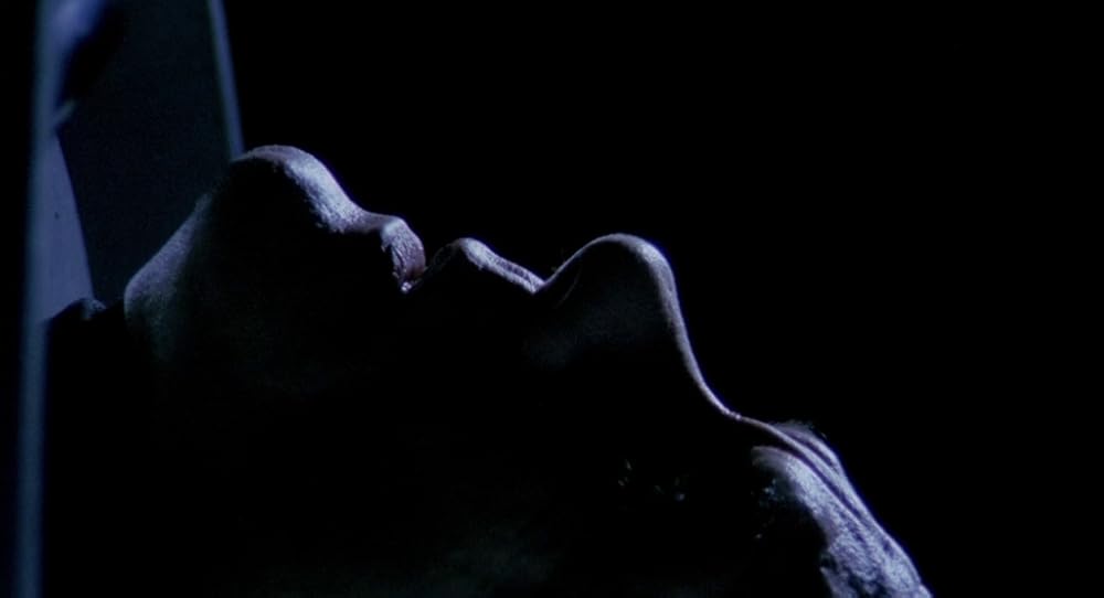 در یک قفسه شیشه ای