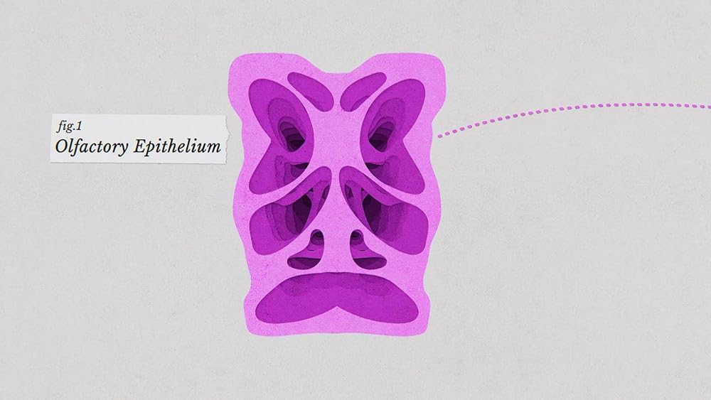 درون ذهن یک سگ