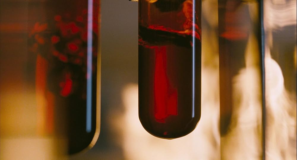 ۲۸ هفته بعد