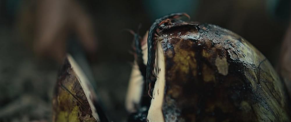 کارخانه شکر