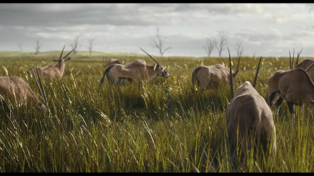 موفاسا: فرمانروای شیرها